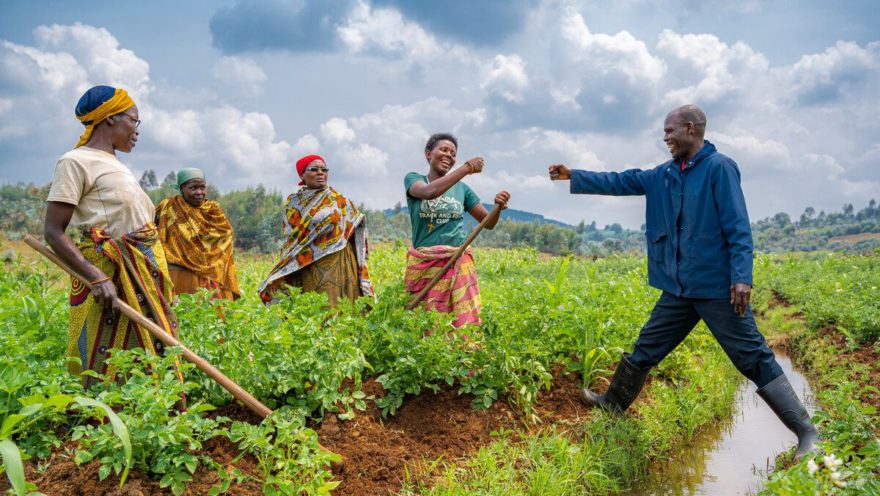 Ripple Effect farmer Joselyne in Burundi is congratulated by extension worker Johny Bukuru for securing a good price for her potato crop