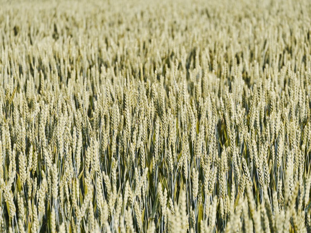 jaromir-kalina-FuICGGHIRU0-unsplash