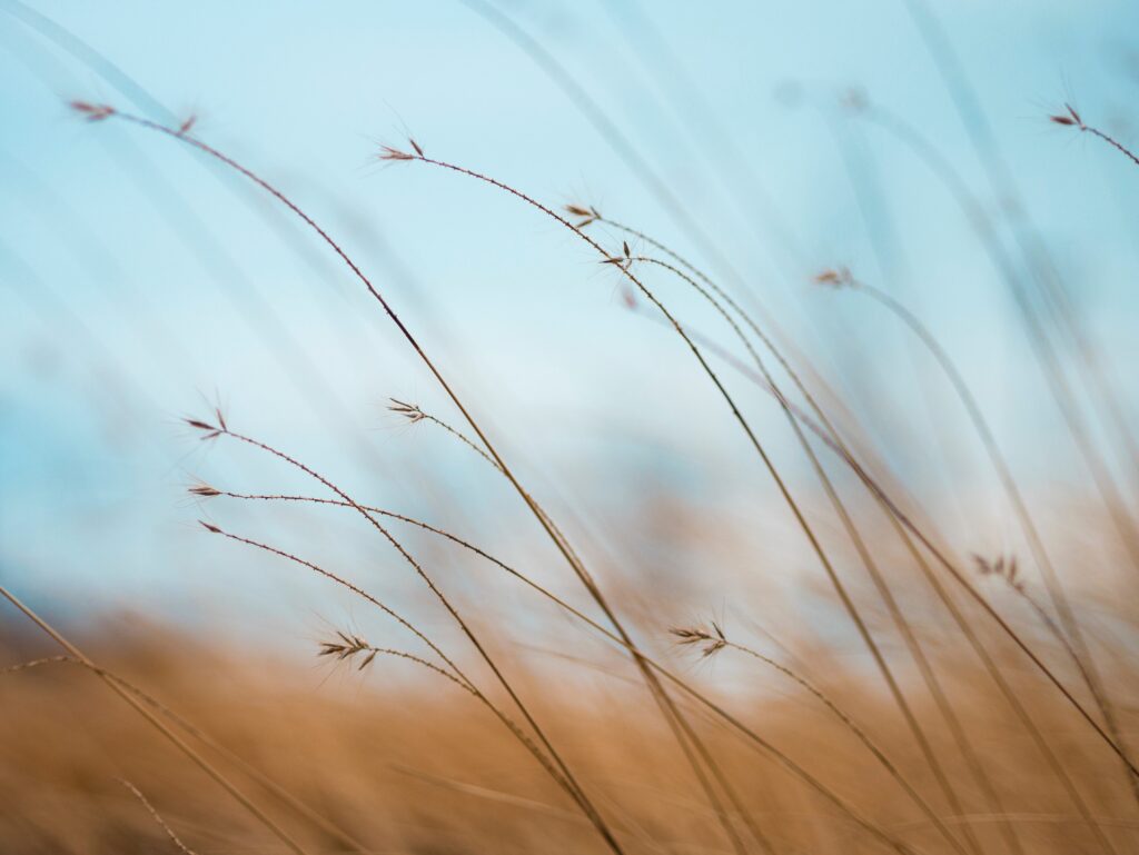 aaron-burden-tQF8FCNYNrk-unsplash