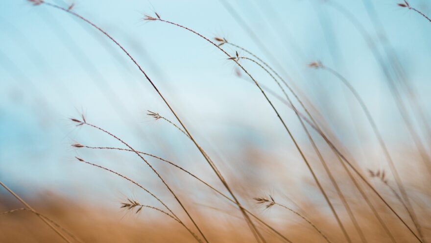 aaron-burden-tQF8FCNYNrk-unsplash aaron-burden-tQF8FCNYNrk-unsplash