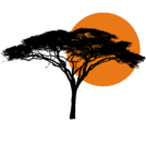 Acacia sun Acacia sun