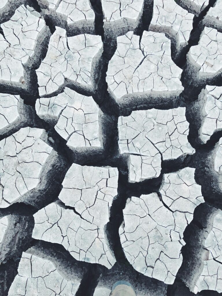 joshua-brown-73YJpOGgi4E-unsplash