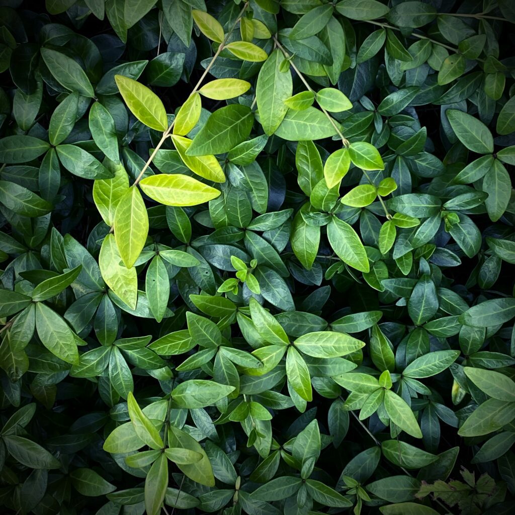 sonia-eZ96s850g4U-unsplash