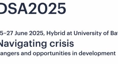 SWIDN at the DSA Conference 2025