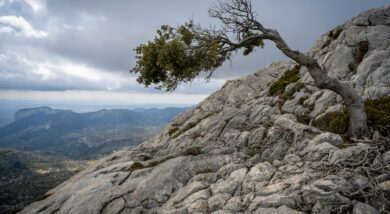 pedro-sanz-5viuCBIXywA-unsplash