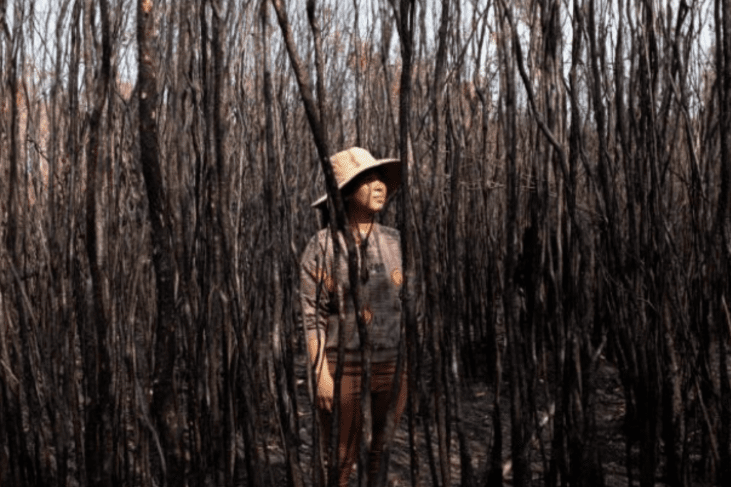 Screenshot 2026-01-21 at 13.53.10